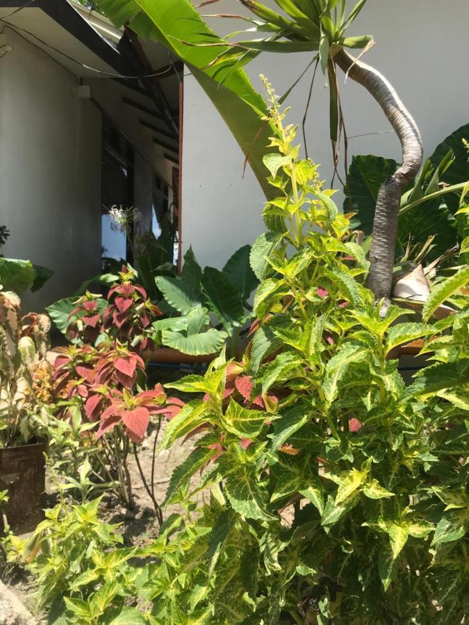 Balili Villas El Nido-Free Car & Driver During Stay 外观 照片
